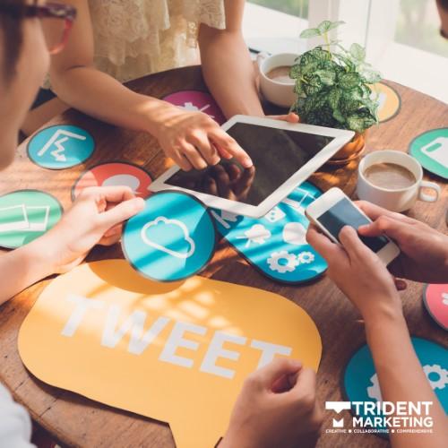 Website & Social Media Analytics: Know Your Audience