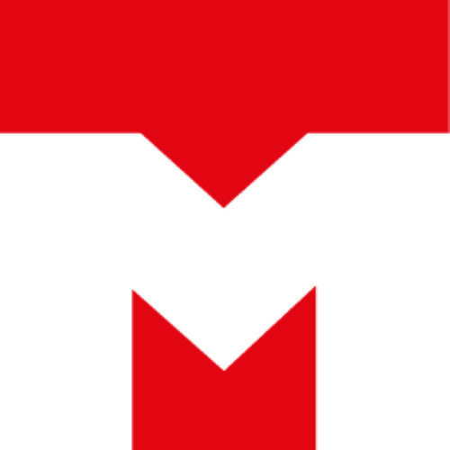 TM favicon Custom