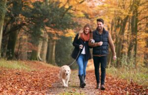 A couple going for a walk in the woods with their dog in autumn